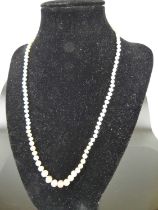 A graduated freshwater pearl single string necklace, with yellow metal clasp stamped 750, length