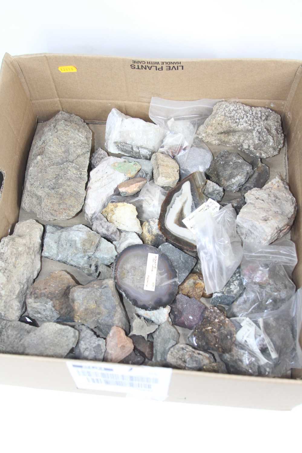 Two boxes of rock and mineral specimens - Image 2 of 3