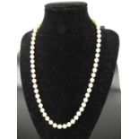 A cultured pearl single knotted string necklace, with 9ct gold ribbon clasp, pearl diameters each