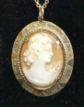 A carved shell cameo pendant in 9ct gold mount, cameo dimensions 32 x 24mm, on 9ct gold belcher link
