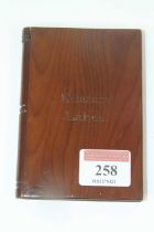 A carved arbutus wood souvenir card case, in the form of a book, inscribed 'Killarney Lakes', h.11cm