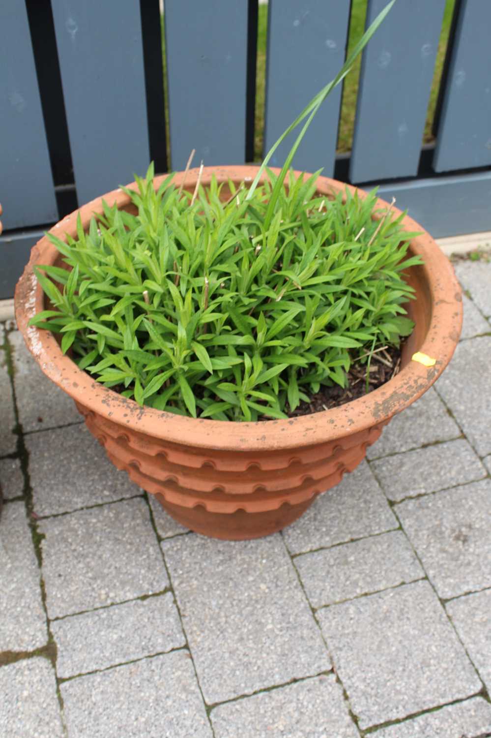 A terracotta circular garden planter, together with one other similar on base (2) - Image 3 of 3