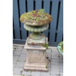 A reconstituted stone pedestal planter, raised on associated square stepped base, overall height