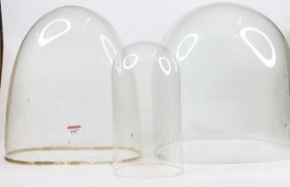 A Victorian glass dome, height 32cm, width 29cm, depth 21cm, together with two others being an