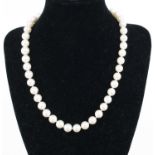 A single row necklace of forty-four 8.4 to 8.9mm cultured pearls, strung knotted to an 18ct yellow