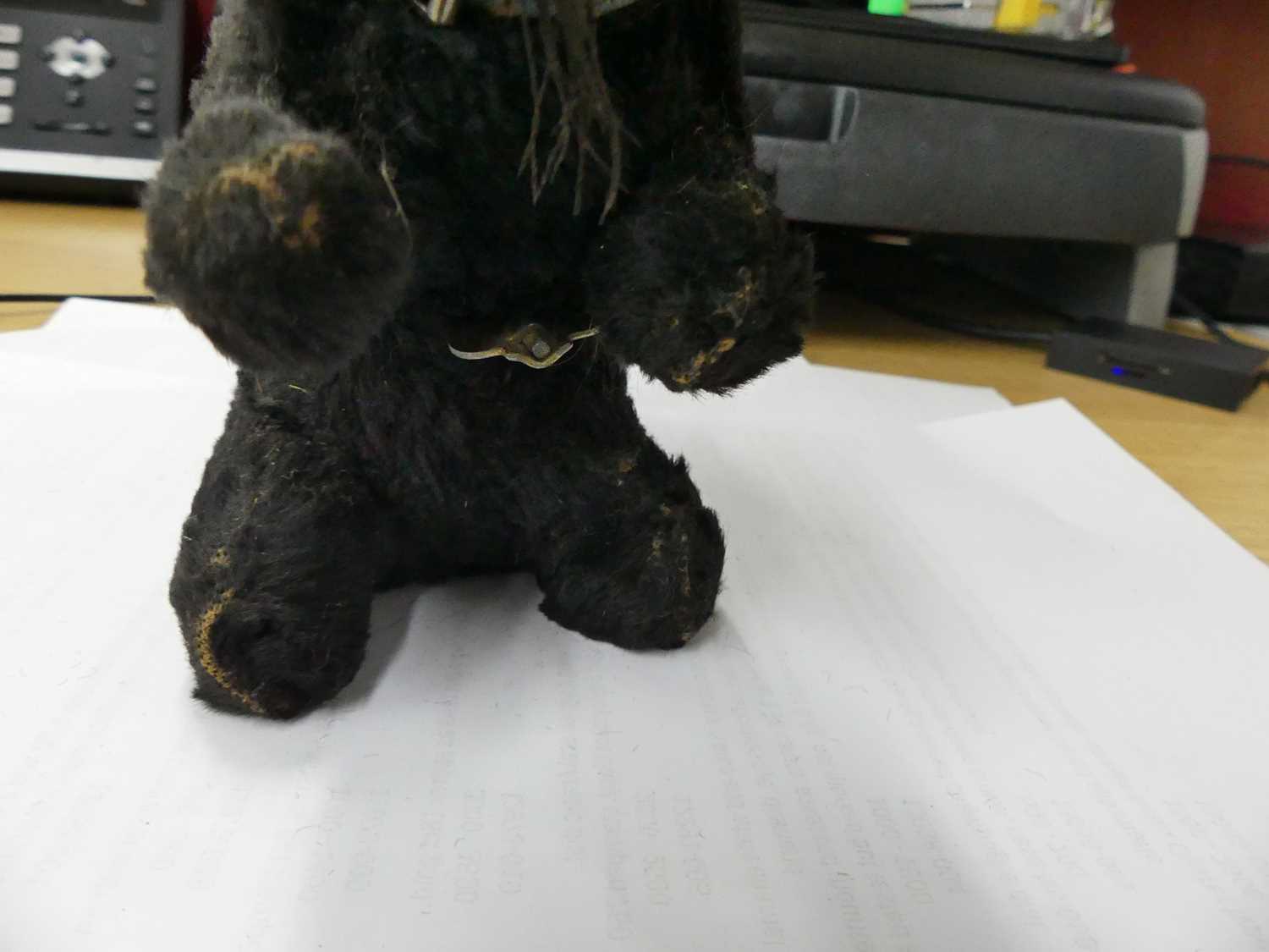 A vintage golden mohair teddy bear having opposable limbs and glass eyes, height 45cm, together with - Image 3 of 4