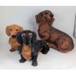 Three modern resin models of dachshunds, largest height 30cm