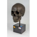 A bronzed metal model of a skull, mounted upon a polished black hardstone plinth, height 35cm