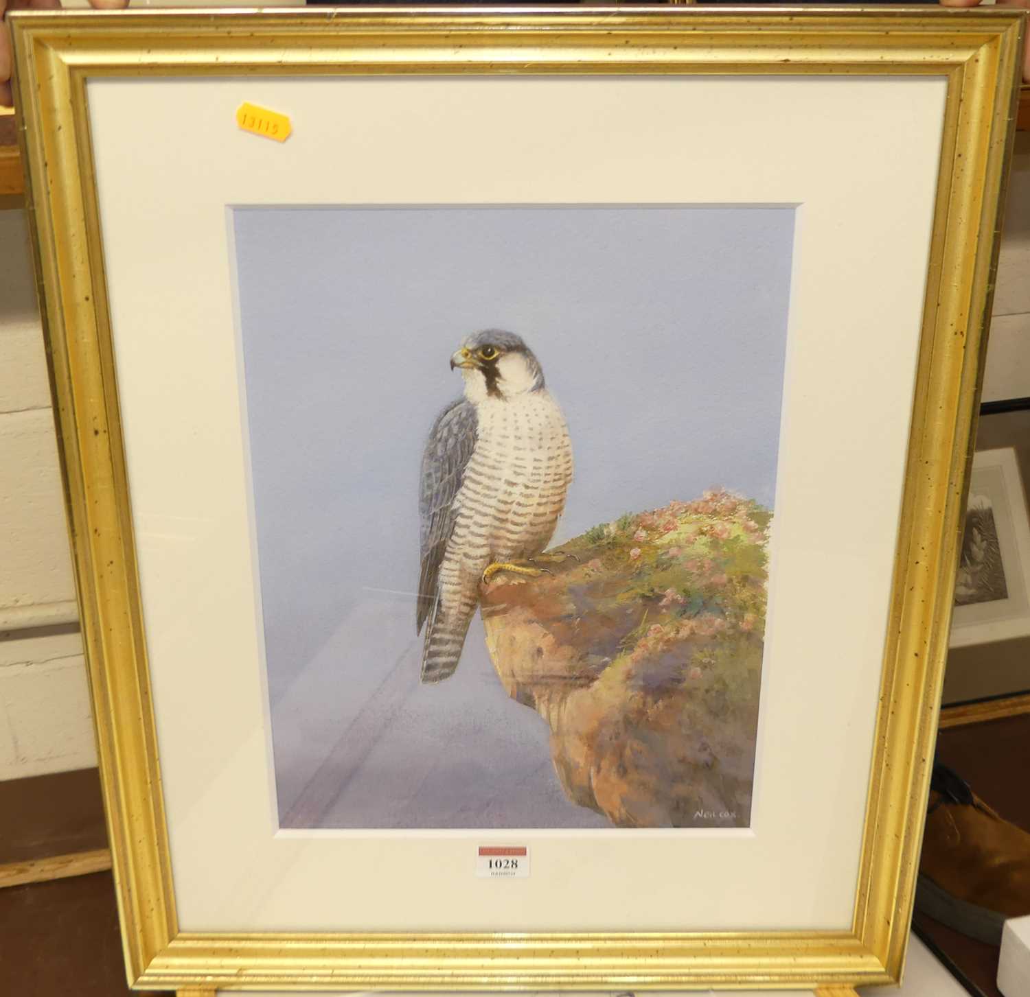 Neil Cox - Peregrine falcon, pastel, signed lower right, 35x27cm