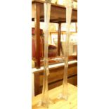 A pair of elongated glass specimen vases, each with floral inset displays No chips or damage. Some