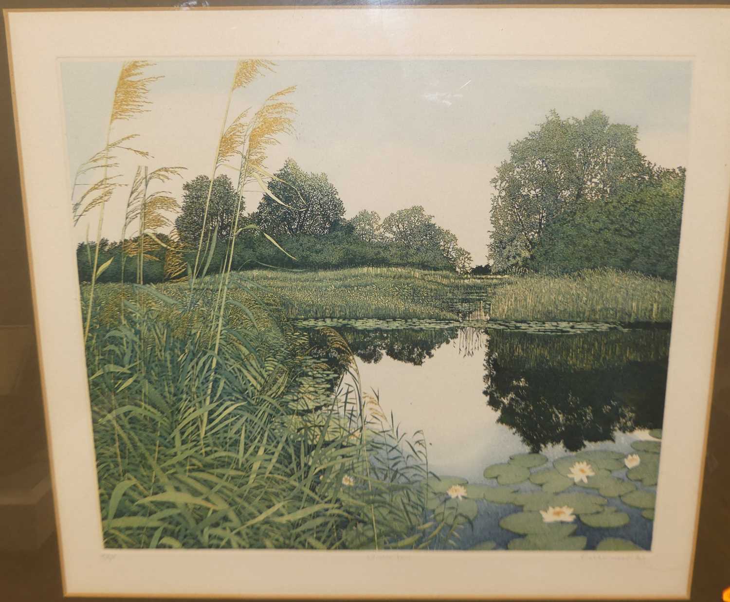 Eleanor Scarfe - limited edition monochrome print, Greenwood - Wicken Fen, lithograph, signed,