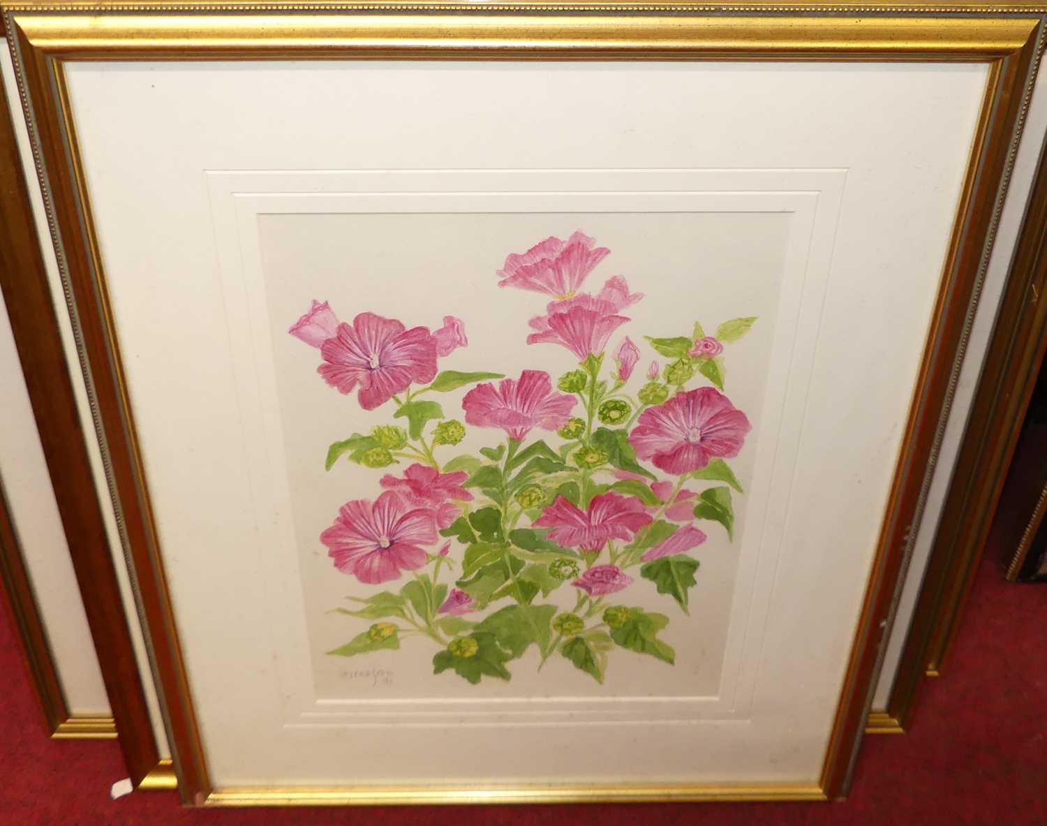 Serena Fass - Botanical study, watercolour; together with various other botanical watercolours by