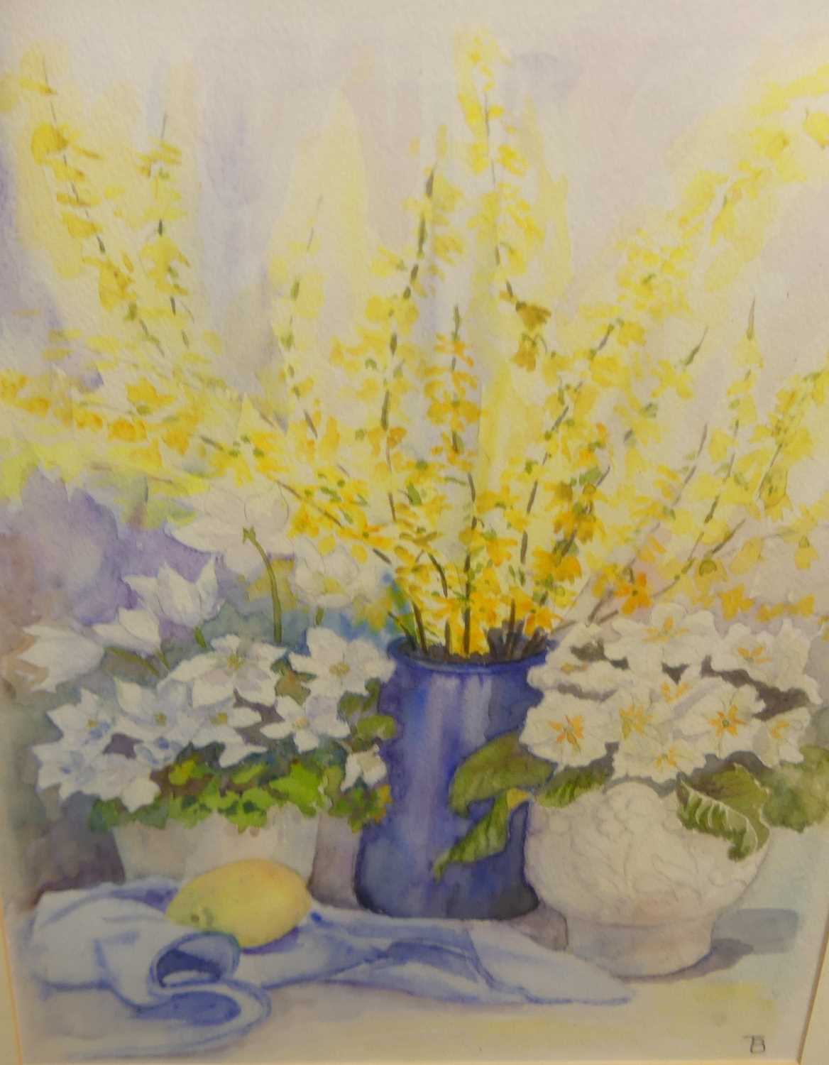 Beryl Taylor - Forsythia in blue pot, watercolour, signed with monogram lower right, 37 x 28cm