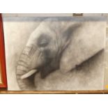 Leny Rajon - Elephant study, acrylic on canvas, 45 x 61cm