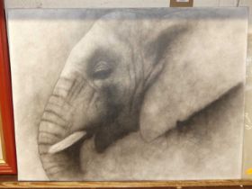 Leny Rajon - Elephant study, acrylic on canvas, 45 x 61cm