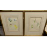 20th century English school - a set of twelve botanical studies, watercolours, each 18 x 12.5cm