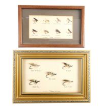 Two framed collections of salmon and trout flies, tied by T Gray of Lanark, Scotland, largest 31 x