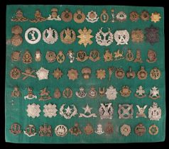 A collection of British army cap badges affixed to a board
