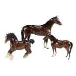 Three large Beswick thoroughbred and shire horse figurines, tallest 31 cm