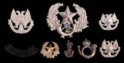 A group of Cameronians (Scottish Rifles) and related cap and other badges and insignia