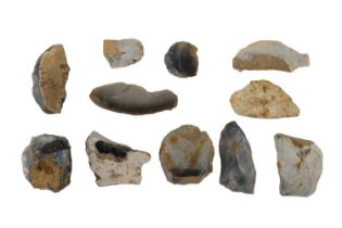 A small collection of pre-historic flint implements scapers, blades etc