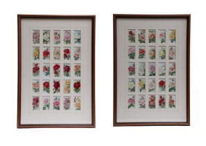 Two sets of twenty-five WD & HO Wills's Roses cigarette cards, uniformly framed in card mounts and