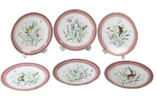 A set of six Victorian Royal Worcester hand-painted and gilt enriched lepidoptera, botanical and