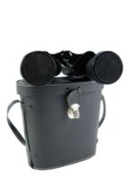 A cased pair of Sonix Zenith 10 x 50 binoculars