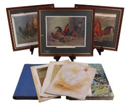 A group of "Old English Game" lithographic prints by Herbert Atkinson (1863-1936), three in card