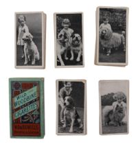 A quantity of Carreras Ltd "Dogs & Friend" cigarette cards together with a vacant WD & HO Wills