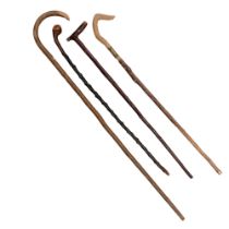 Four rustic wooden walking sticks