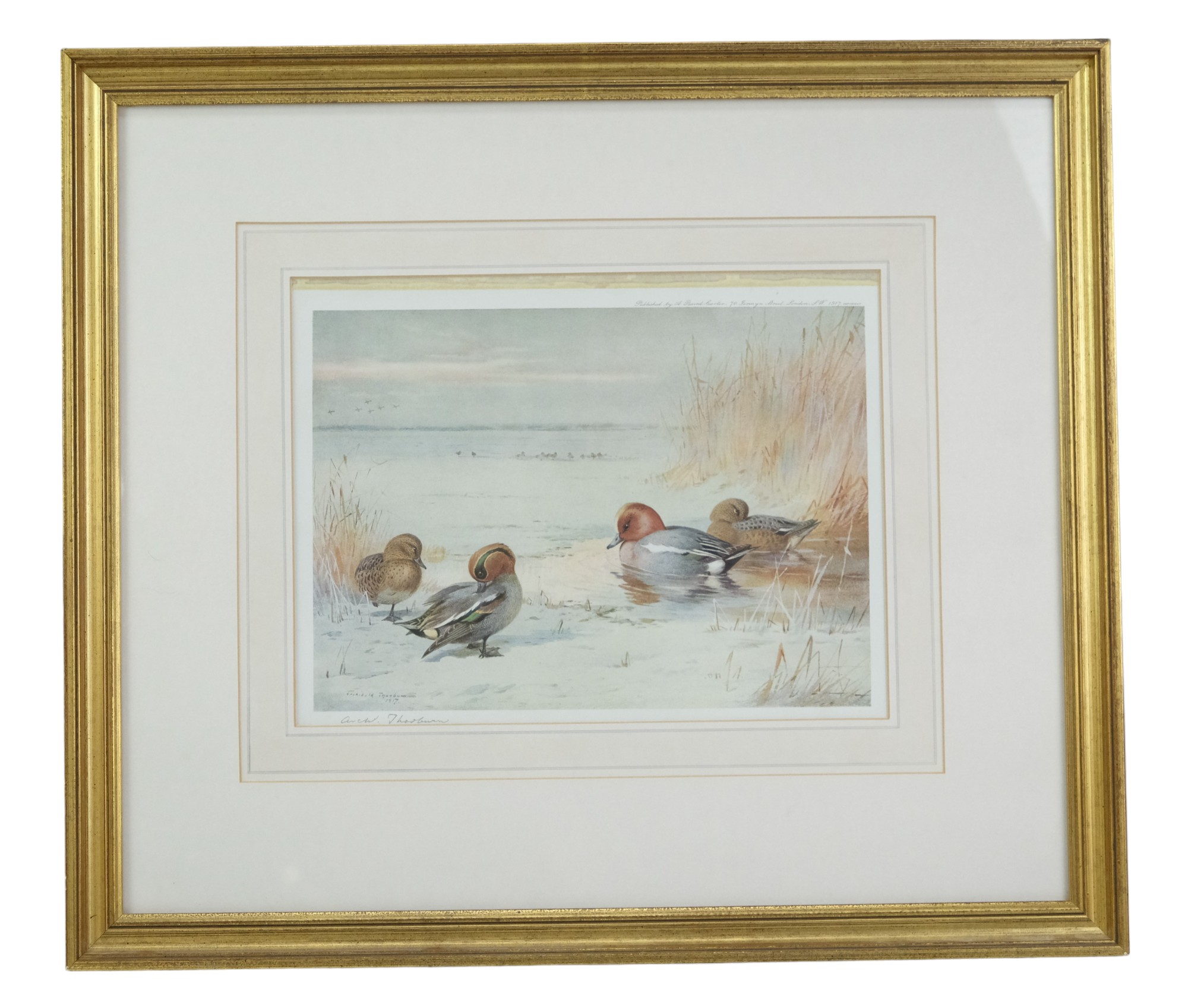 After Archibold Thorburn (Scottish, 1860-1935) "Teal In Winter", a naturalistic study of four teal