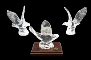 Three Waterford Crystal birds, tallest 17.5 cm