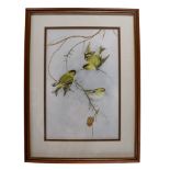 Helen Irving (20th Century) A romantic, ornithological study of a trio of siskins interacting on the