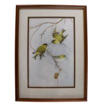 Helen Irving (20th Century) A romantic, ornithological study of a trio of siskins interacting on the