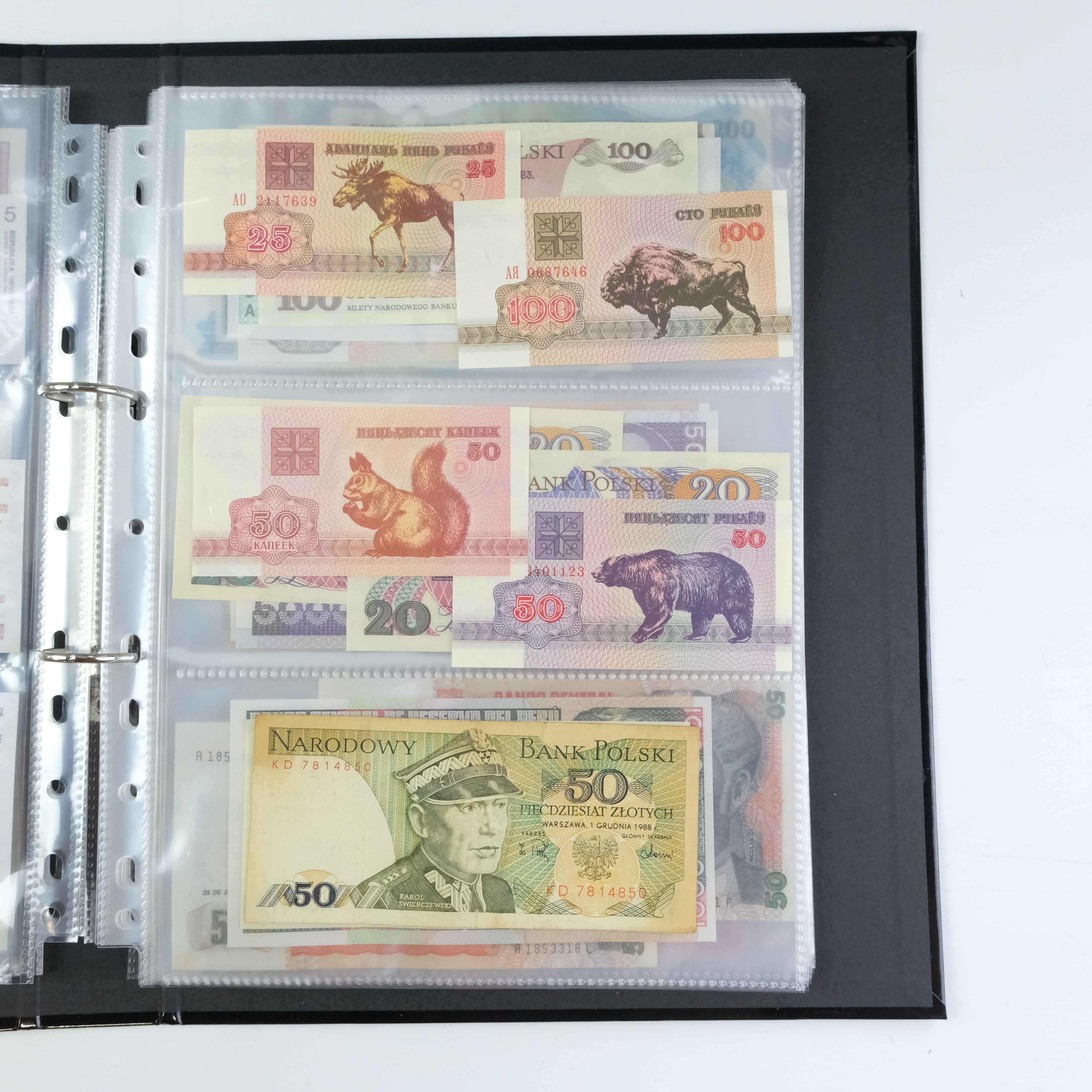 A well-presented album of world banknotes including Indonesia, Yugoslavia, Belarus, Peru, Brazil, - Image 6 of 30