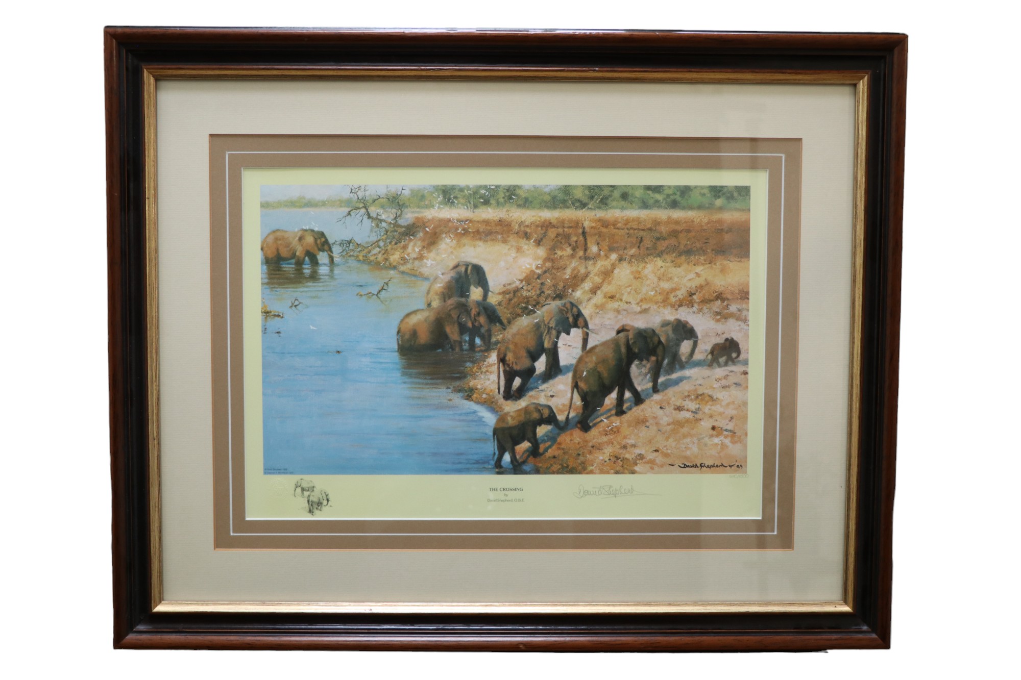 After David Shepherd (1931-2017) "The Crossing", a study of elephants emerging from a river onto its