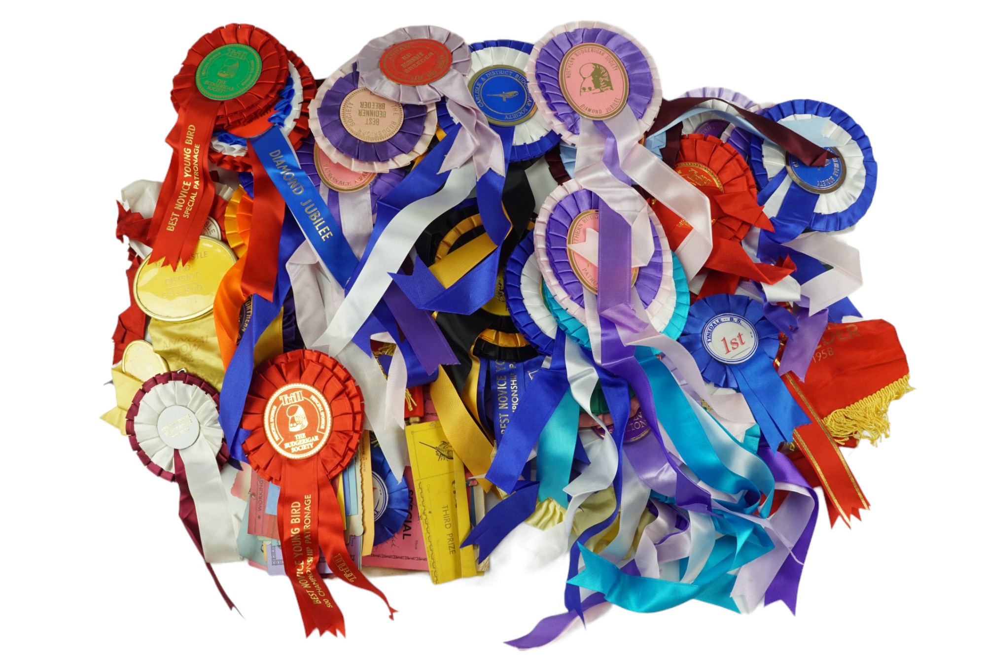 A collection of Scottish and Northern cage bird and budgerigar society ribbons, programmes etc, - Image 2 of 3