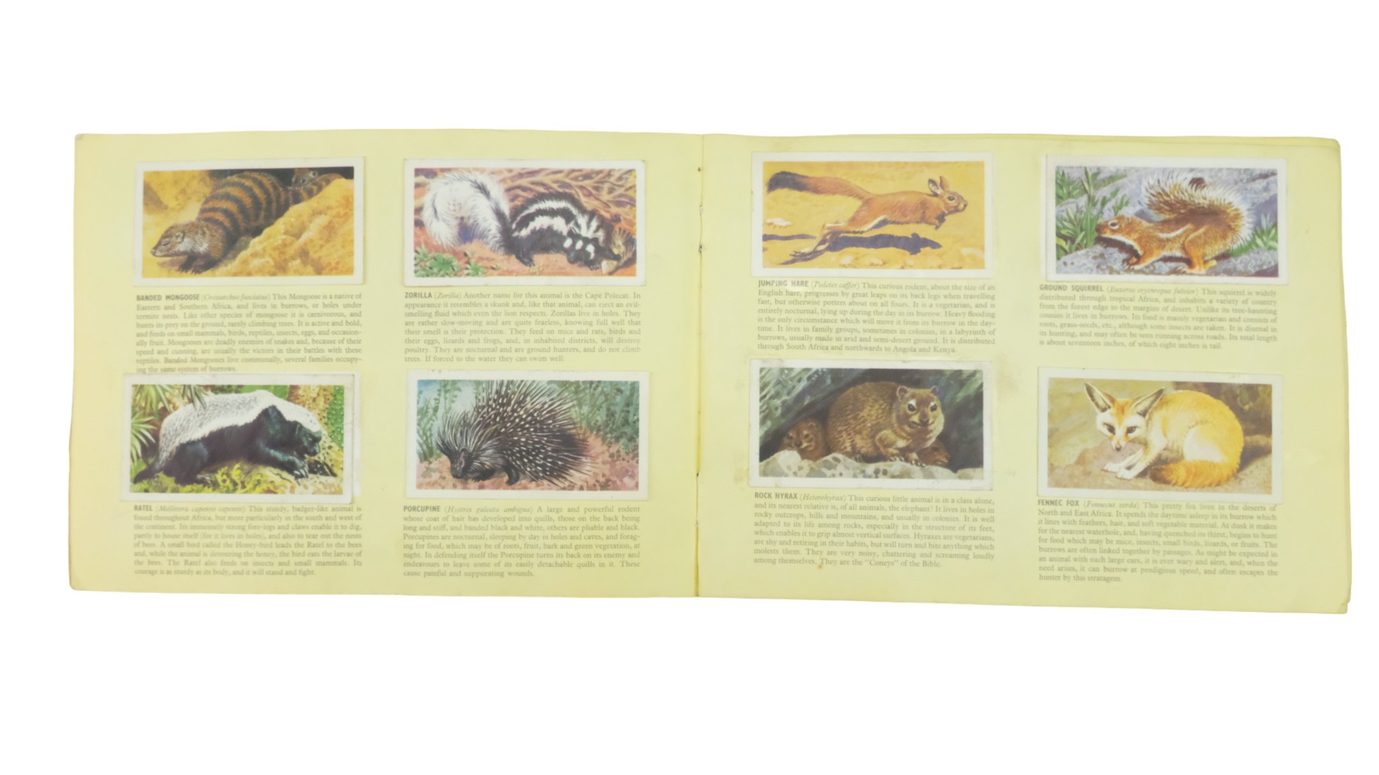 Two albums of John Player & Sons cigarette cards together with Brooke Bond "African Wild Life" tea - Image 4 of 18