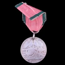 A Turkish Crimea Medal, (un-named)