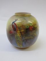 W.H. Austin for Royal Worcester, small globular vase painted with peacock in a landscape, signed,