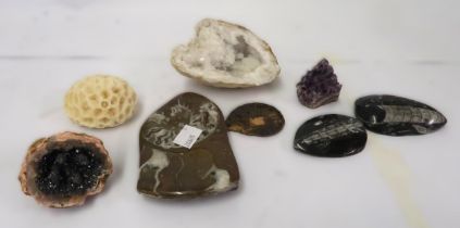 Small quantity of polished fossils and geodes