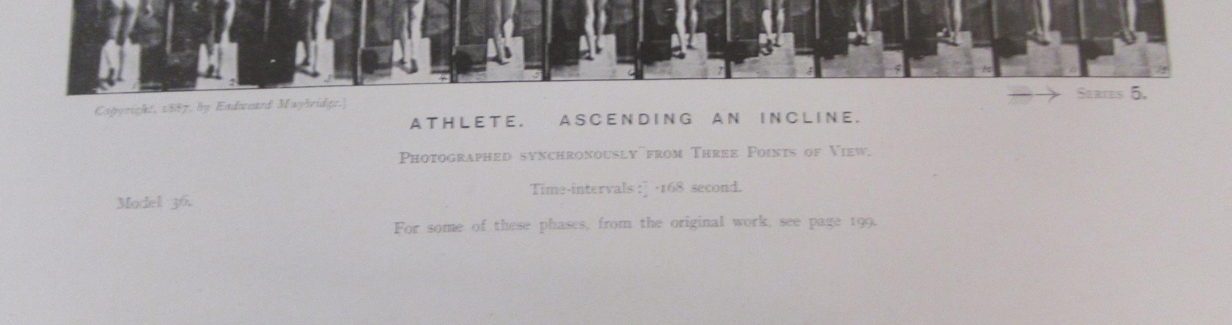 One volume, ' The Human Figure in Motion ' by Eadweard Muybridge, Fifth edition, published Chapman & - Image 2 of 2