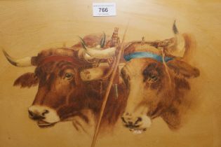 Watercolour, head study of two oxen, 30 x 48cm, inscribed verso ' Rosie Rust ', gilt framed