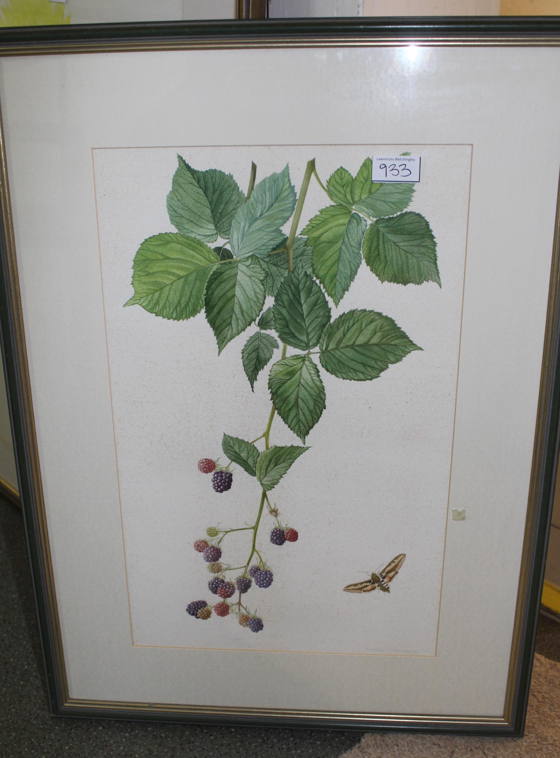 Kristin Rosenberg, watercolour, study of blackberries and butterfly, 47 x 50cm approximately, - Image 3 of 3