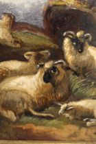 Small 19th Century oil on panel, Highland sheep in a landscape, 18 x 13cm, gilt framed