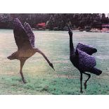 Gail Runyon Perry, pair of large bronzed resin garden sculptures ' Courting Cranes ', 158cm high