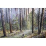 Kas Sachoricz, 20th Century oil on canvas, woodland scene, 49 x 64cm, gilt framed, together with