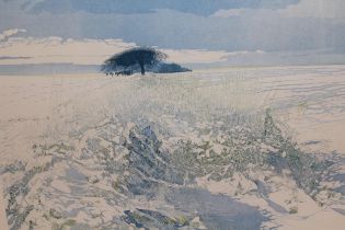 Phil Greenwood, signed Limited Edition print, ' Snow Light ', No. 171 / 250