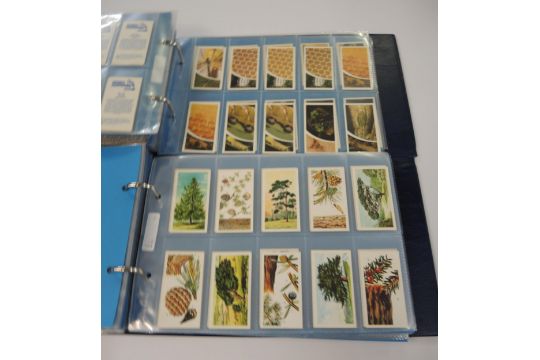 Five albums of Brooke cigarette cards - Image 14 of 14